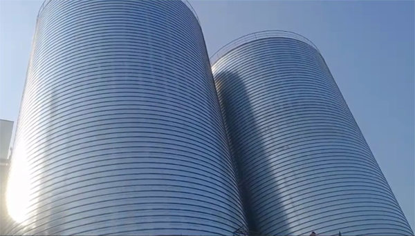 东区2座混凝土高架卷板仓